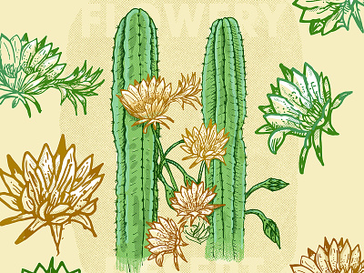 Halftone Cactos botanical art botanical illustration cactus colors design editorial garden green halftone illustration mandacaru plant vector yellow