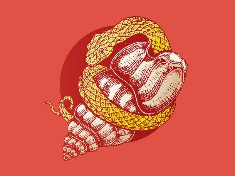 Snake And Shell book yellow serpent culture old school tattoo tattoo shell snake logo colors cartoon vector illustration