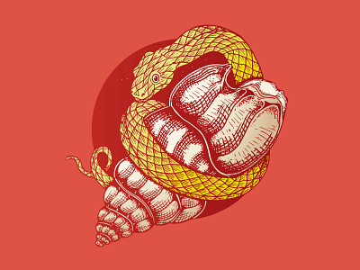 Snake And Shell book cartoon colors culture illustration logo old school tattoo serpent shell snake tattoo vector yellow