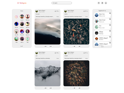 Home Page Instagram WEB REDESIGN light mode