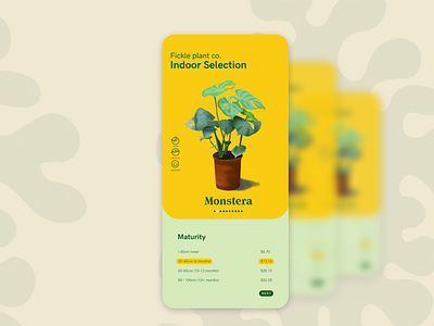 Plant Store User Interface app branding design indoor plant minimal plant shop ui ui design web