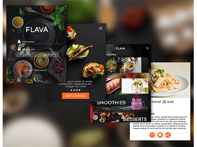 FLAVA food recipe interface mobile app mobile interface ui ui kit user interface