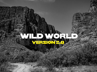 Wild World | Font Design branding design font font design icon logo typeface typography ui ux vector