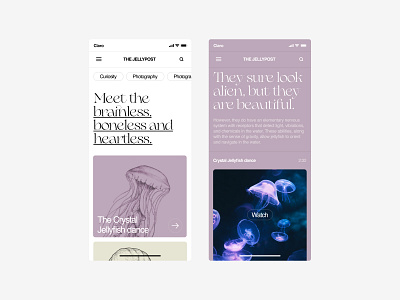 Jellyfish blog design graphic design minimalist typography ui ux