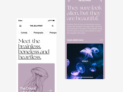 Jellyfish blog III design graphic design minimalist typography ui ux