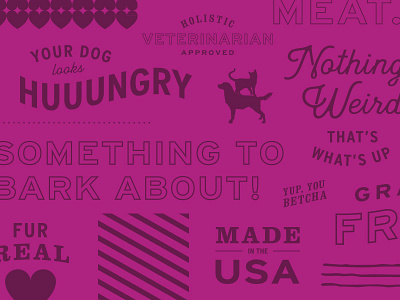 Type Explore II cat dog food iandloveandyou overlay typography