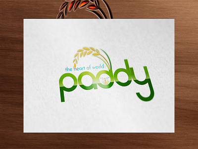 Paddy