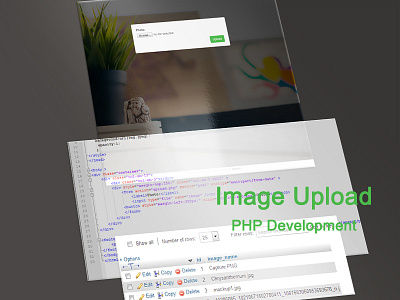 Image Upload (Bootstrap Php) bootstrap facebook google html login php ps reg sql uiux web website