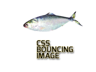 CSS Bouncing Image bouncing css html slide