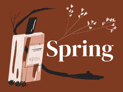 Spring branding design digital illustration floral flower graphic design illustration illustrator parfume procreate spring
