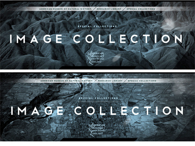 Page Banners for AMNH
