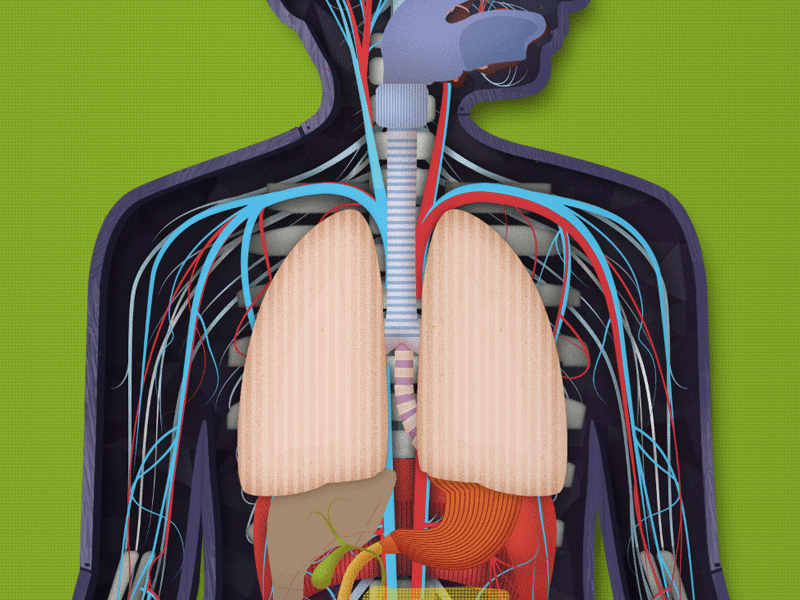 All the parts by kellianderson on Dribbble