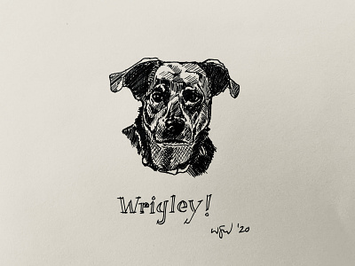 Wrigley 2020 illustration