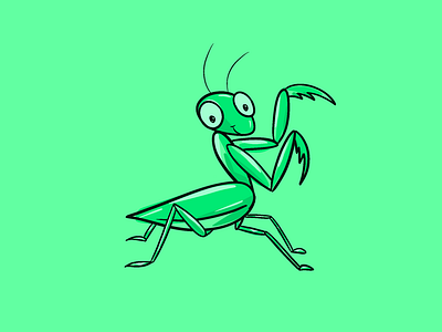 Praying Mantis