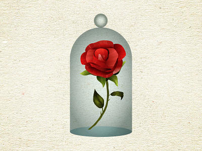 Rose Illustration illustration illustrator