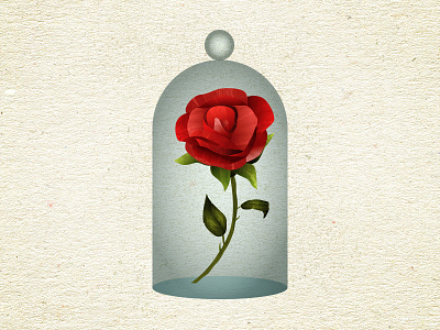 Rose Illustration