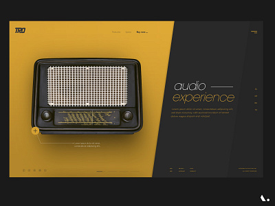 ui Audio Experience