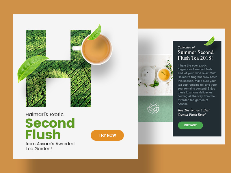 Newsletter design for Halmari tea advertising campaign advertising design advertising marketing marketing campaign illustration colours branding design graphic design newsletter