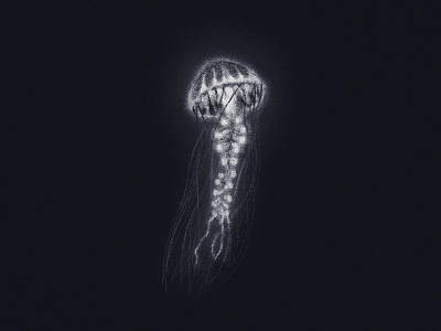 Jellyfish art brushes digital drawing grain illustration jellyfish noise ocean photoshop sea