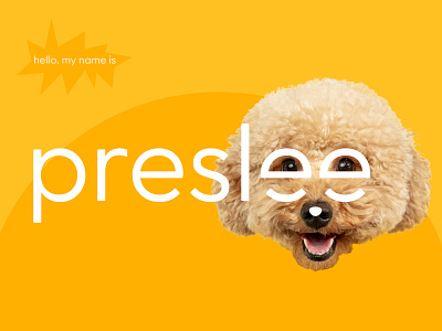 Logo Design animal brand branding designer dog flat graphic design identity logo logotype pet sticker