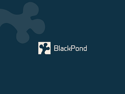 Black Pond logo blue brand brand identity branding design logo logo design logodesign