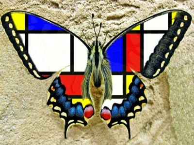 Mondrian butterfly