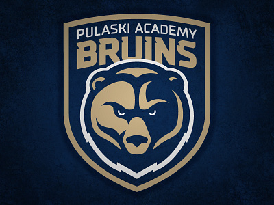 Bruins bear bruins sports sports branding sports identity