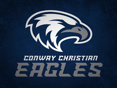 CCS Eagles branding eagles identity sports