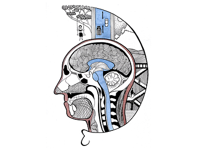 Medulla Spinalis anatomy body brain head illustration