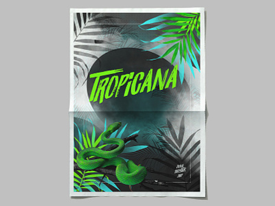 Tropicana afisha fog foggy jungle palm poster snake