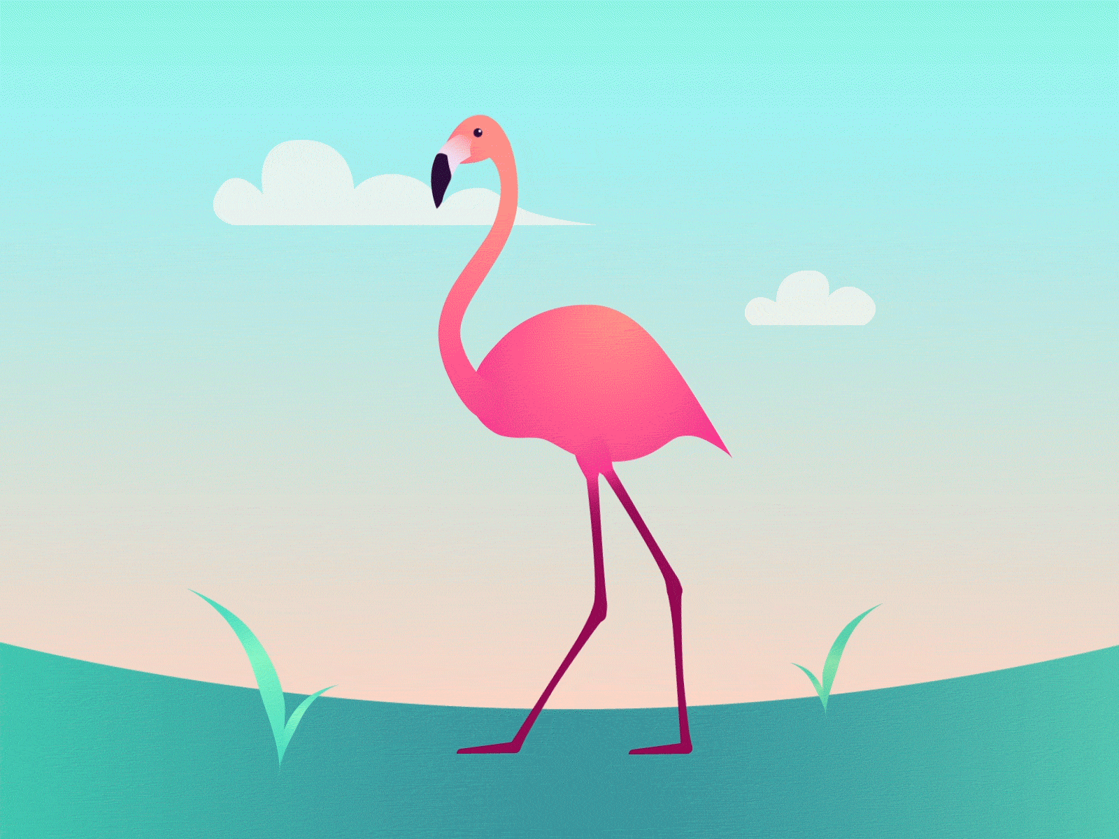 Hello, Dribbble! animation flamingo illustration walk cycle