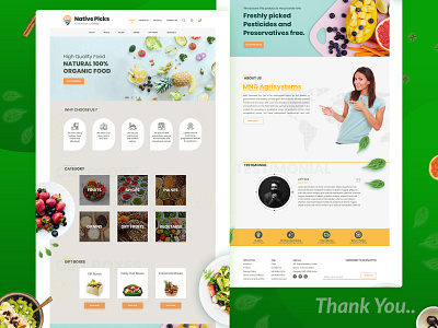 Ecommerce Grocery Website Design