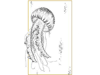 Jellyfish animal black white black and white dot dots drawing handdrawing illustration jellyfish nautilus ocean sea