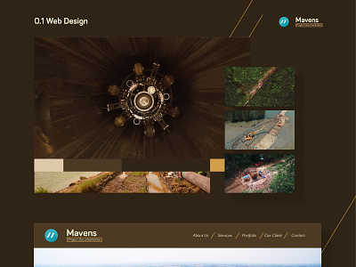 mavens aerial doc - web design & illustration