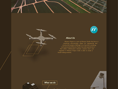 mavens aerial doc - web design & illustration