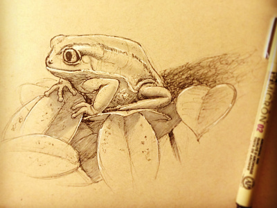 Quick Frog Sketch doodle draw drawing frog ink pen sketch