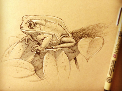 Quick Frog Sketch doodle draw drawing frog ink pen sketch