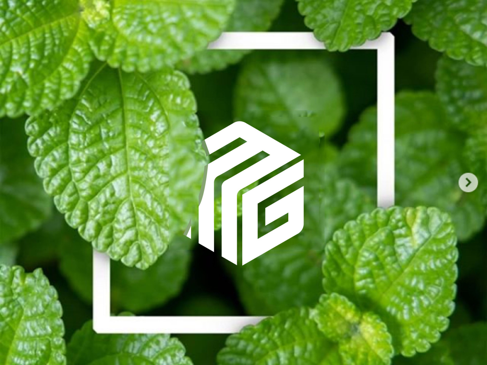 M G Logo Mark MG Logo Design By Jishan Branding Agency On Dribbble
