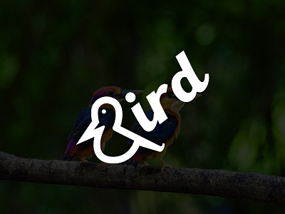 Bird Logo design concept