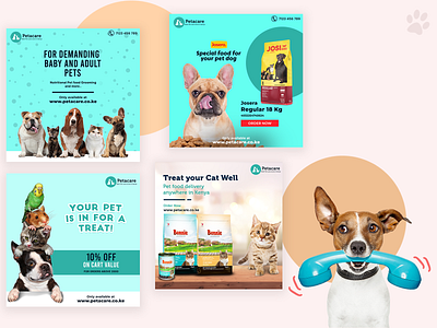 Petcare Store - Social Media Posts branding design graphic design logo petcare petfood socialmedia