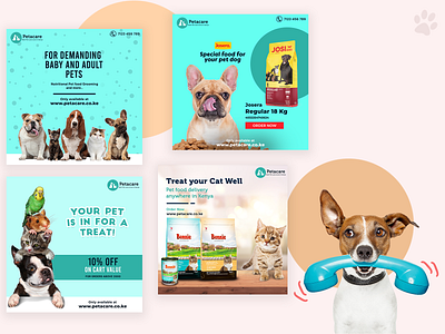 Petcare Store - Social Media Posts