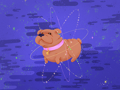 Cosmic Dog animal color cosmic cute design dog drawing graphic design illustration illustrator procreate space stars