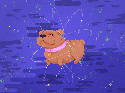 Cosmic Dog