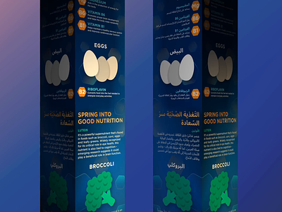 LTR & RTL (English/Arabic Infographics) animatedgif arabic arabic typography email marketing landingpage marketing campaign righttoleft rtl website design