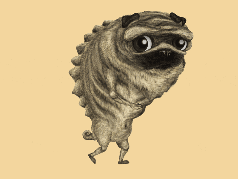 Linus - Character Design 2d animal animation brushes character gif hunchback photoshop pug rigging walking cycle weird
