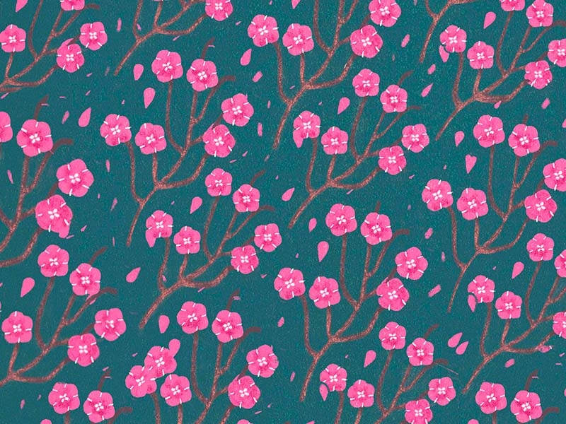 Sakura Pattern pattern design pattern surface design illustration