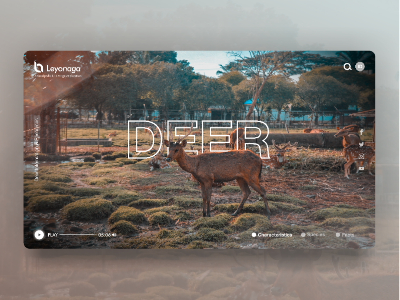 Deer Web UI Concept wiki deer web design nature animal web app branding ux ui illustration ardileyo
