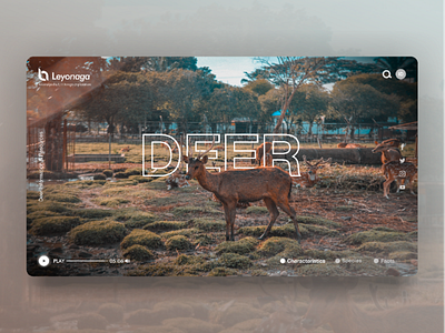 Deer Web UI Concept animal app ardileyo branding deer illustration nature ui ux web web design wiki