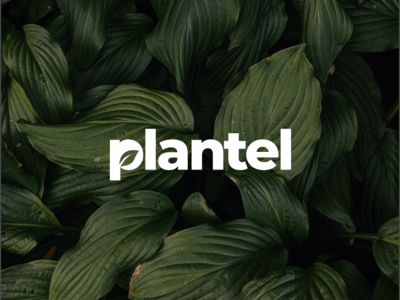 Plantel Logo Concept