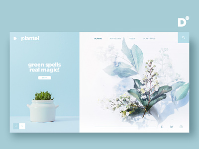 Website Design Concept- Plantel